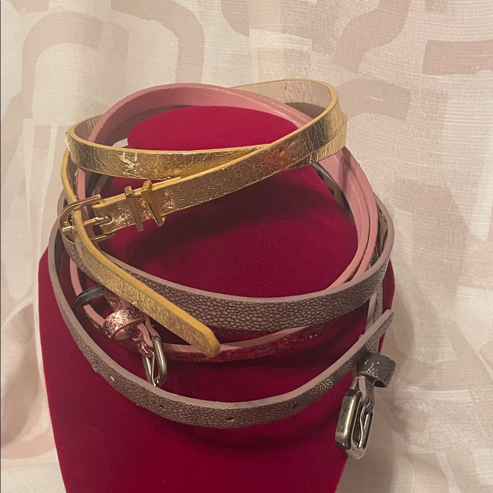 Womens Thin Metallic and Neutral Skinny Belts - Set of Mixed Colors